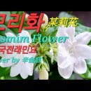 모리화#茉莉花#Mo Li Hua -辛侖庭(신윤정)#중국전래민요#Jasmim Flower 이미지