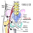 엑스(x)휘트니스 이미지