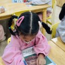 *어린이자연학교 - 사마귀의 알집* 이미지