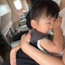 하귤소담 이미지