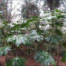 한산도 제승당 이미지