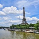 프랑스올리브 이미지