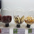 효한의원 이미지