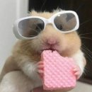 네일을 위하여
