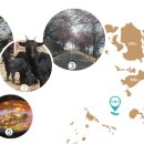 별난해변펜션 이미지