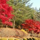 인계동주민센터 이미지