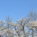 스테이믈믈믈 이미지