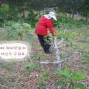 새순농장 이미지