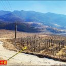 평수농장 이미지