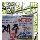 우정트레킹여행사