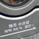 로뎀이불집