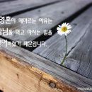 내 영혼이 메마르는 이유는 이미지