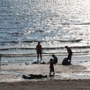 왕산해수욕장 이미지