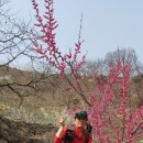 좋은아침 - 고령군 | 좋은아침