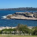 복학농장 | [호주 일상] 워홀 비자 끝난 후에도 호주에서 더 살 수 있다고? :: 관광비자(ETA)로 재입국 하는 방법...