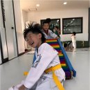 늘푸른 경희대 태권도장 | 자녀의 인성과 체력을 함께 키울 수 있는 늘푸른경희대태권도장 체험기