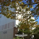 가납주공아파트 이미지