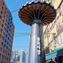 구제옷나라 | 서울 동묘 구제시장 빈티지샵 옷 구경 동묘시장 가는길