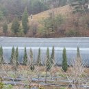 내고1농로 이미지