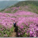 아영면 오산마을 이미지