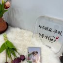 그리다 펫살롱 | 그리다 펫살롱(목욕후기)