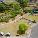 가평가보자독채애견풀빌라수영장 이미지