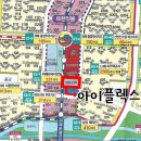 돌리고 제주도야지 이미지