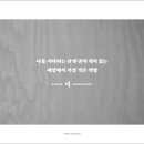 라갤러리 이미지