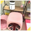 츄펫살롱 | 💖 [대전애견미용] 츄펫살롱 솔직 후기! 꼼꼼한 가위 컷 덕분에 우리 강아지가 달라졌어요! 🐶✨