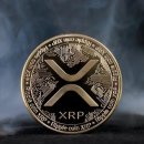 XRP(엑스알피)로 이름이 바뀐 리플. 이미지