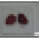 미드미 동물의료센터 이미지