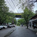 관심길-2 | 사패산 회룡탐방센터 코스 후기 회룡사·계곡 숲길·운무 가득한 여름 힐링 산행