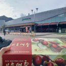 속리산 법주사 배영숙산야초밥상식당 솔직후기