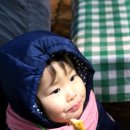 윤진