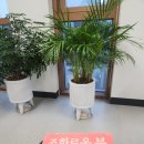 임마뉴엘세탁소 네이버블로그