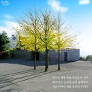 대지-걷기 이미지