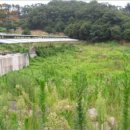 고성리-8 이미지