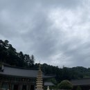 오대산 힐링이야기 | 평창 월정사 방문 후기 | 👉🏻월정사 템플스테이 신청 바로가기 | 전나무숲길이 아름다운 강원도 힐링...