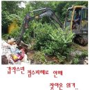 침수피해로 위기를 겪고있는 45마리의 유기동물보호소를 도와주세요 D-82 이미지