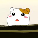 서울식육점