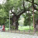 노을공원가로수길 이미지