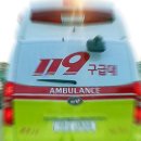 영월군(거운교) 세계일보
