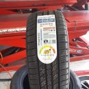 신월동225 이미지