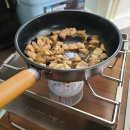 수목화 송정마을 오토캠핑장 이미지