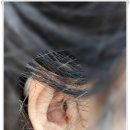 성북푸른보청기 이미지