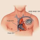 내 소망! 이렇게 살아서 나를 칭찬하고 싶습니다 이미지