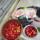 고기백화점 이미지