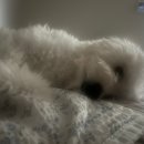 베리민박 이미지