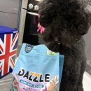 동아원 | 🐶 스탠다드푸들 시월이, 대즐 사료 양고기&amp;쌀 스몰브리드 유산균 사료 먹여본 후기!