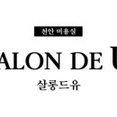 살롱드유